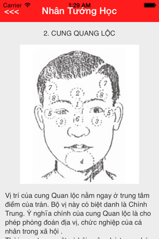 Xem Tướng Giáp Ngọ screenshot 4