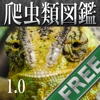 Reptile Life for Japan FREE