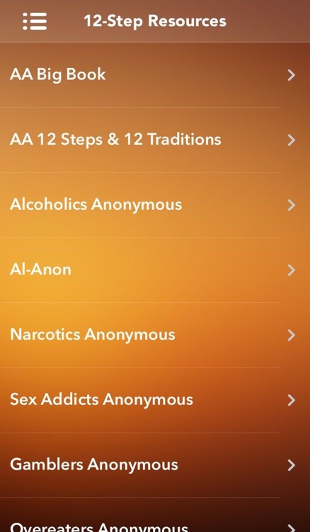 10th Step Journal screenshot-4