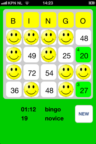 MultiBingo screenshot 2