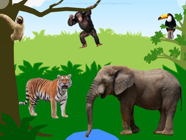 Dierenliedjes - spelend leren over dieren en hun geluiden via liedjes screenshot-3