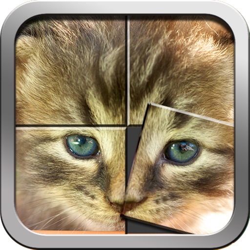 Cute kittens and puppies puzzles icon