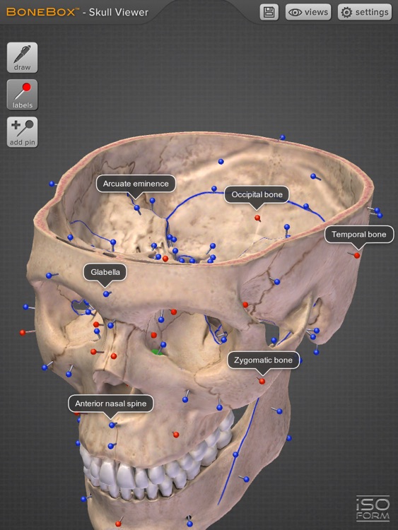 BoneBox™ - Skull Viewer