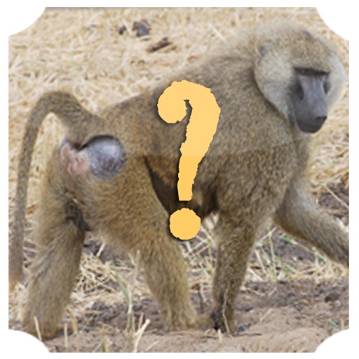 Animal Quiz EN