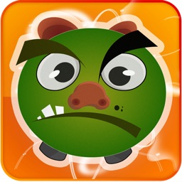 Little Angry Pig