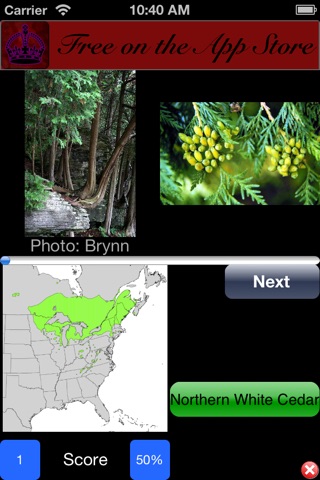 GeoTrees screenshot 2