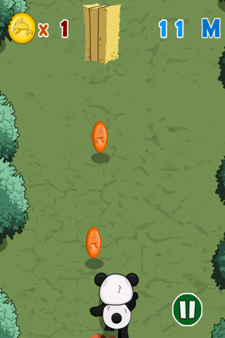 Panda-Fu Running Dash  - Coin Collecting Survival Mania screenshot 2