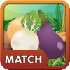 Garden Veggie Match Cool Puzzle Game