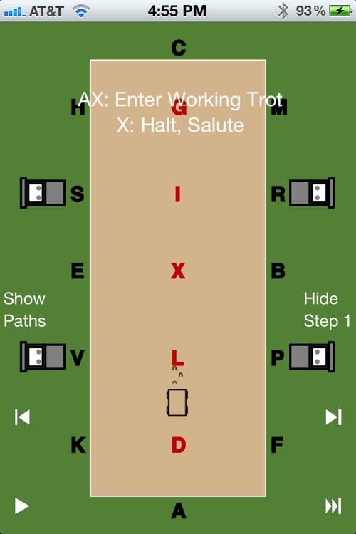 EquiSketch Driving Dressage