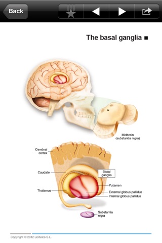 Miniatlas Psychiatry screenshot 3