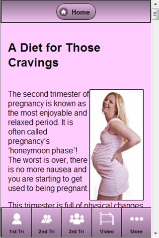 Pregnancy Diet Journal screenshot 3