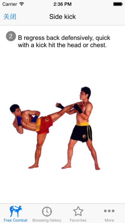 Learn Free Combat (Sanda Live demo graphic, video) screenshot-3