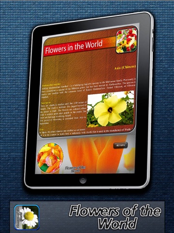 Flowers of the world screenshot 2