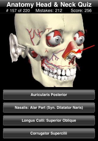 Anatomy Head & Neck Quiz screenshot 2