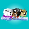 Doge Sledding