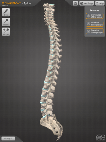 BoneBox™ - Spine Viewerのおすすめ画像1