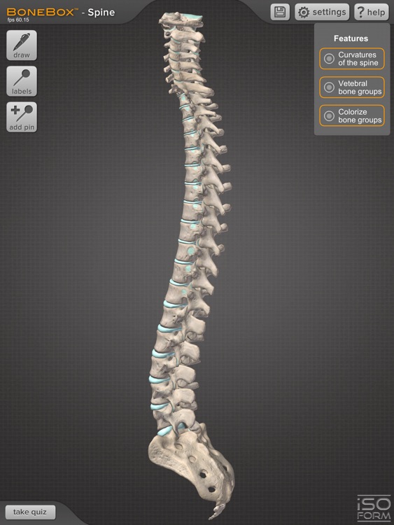 BoneBox™ - Spine Viewer