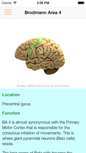 Brodmann 3D Lite(圖4)-速報App