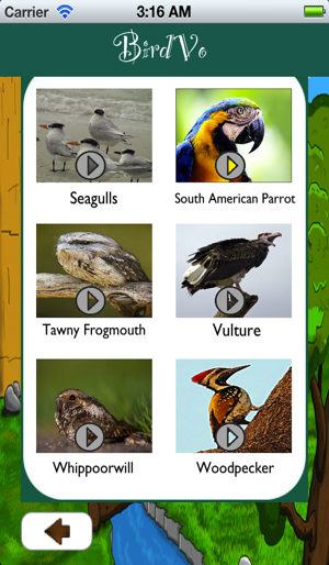 Birds Sounds App ~ BirdVo ~ Bird Voices(圖4)-速報App