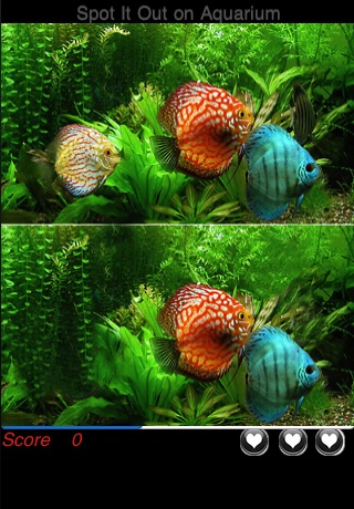 Spot It Out on Aquarium screenshot 2