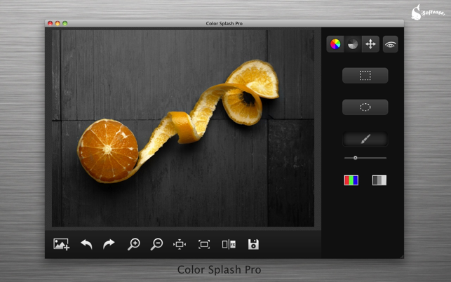 ‎Color Splash Pro Screenshot