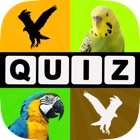 Allo! Acho Que O Pássaro Tipo Trivia - Observação De Aves Foto Quiz icon