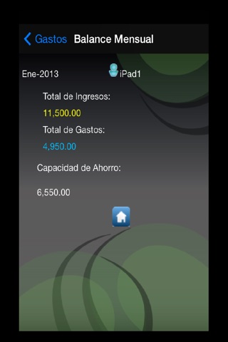 Presupuesto Familiar screenshot 4