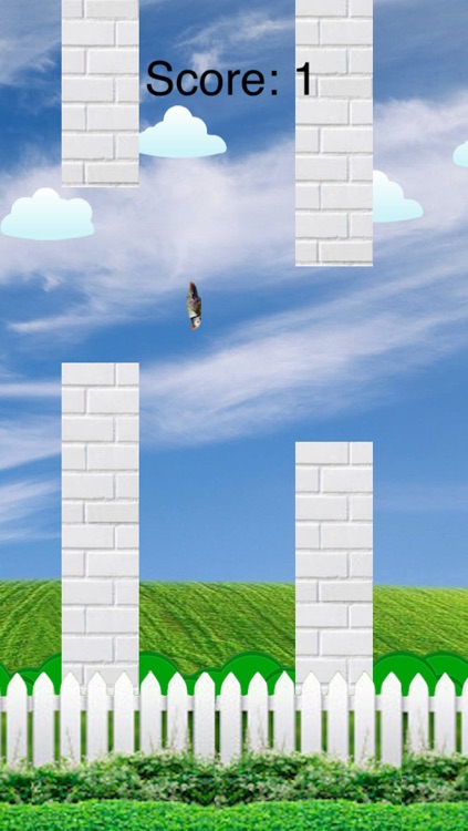 Tap to Flap - The Happy Flappy Puffin Bird