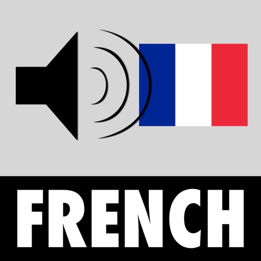 Learn French - French Vocabulary Builder With Minerva icon