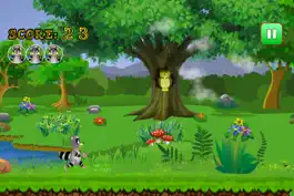 Game screenshot Racoon Voyage Race : Raccoon Animal vs. Panda and Owls mod apk