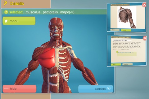 Easy Anatomy 3D screenshot 2