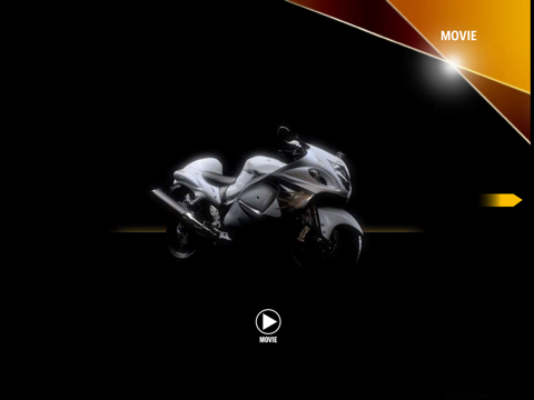 SUZUKI HAYABUSA screenshot 4