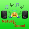 Nature of Sound