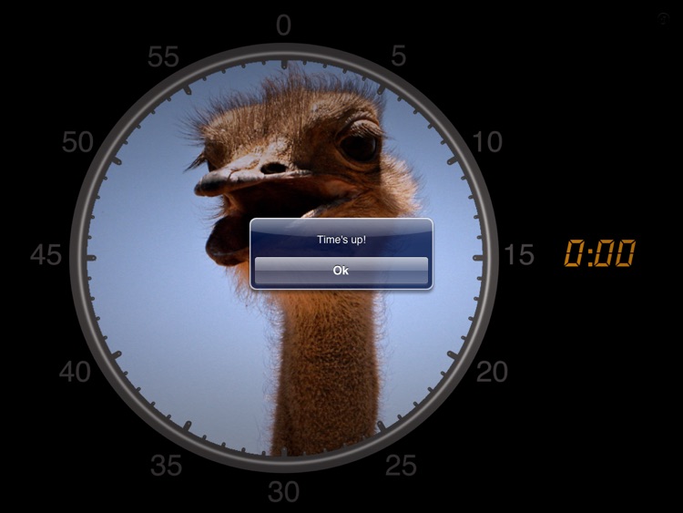 Visual Timer HD