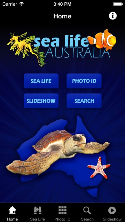 Sea Life Australia