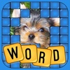 What in the Word! HD Blocks and Block Words