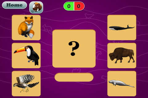 Match the Animal Sounds : Kids Quiz for FREE screenshot 2