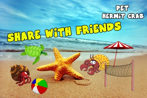 A Pet Hermit Crab screenshot 2