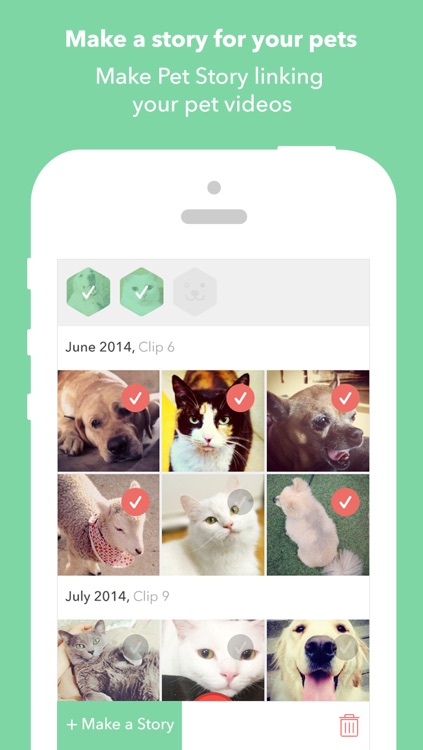 PetStory (Pet video recording)
