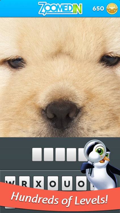 Zoomed In - Photo Game