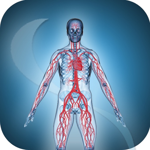 Venous System icon