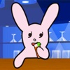 Bunny Bar