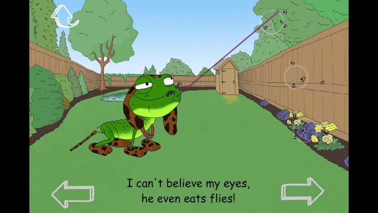 Mr Frog the Neighbours Dog