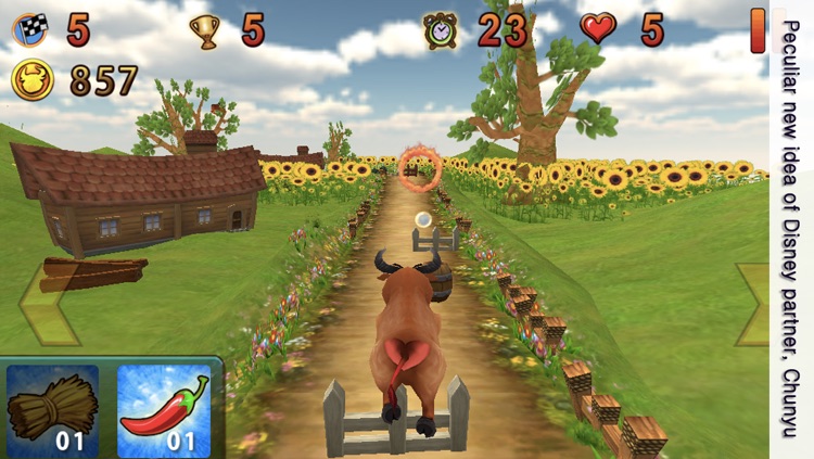 Bull King of circus: one touch action & racing game for jump & run