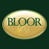 Bloor and Co