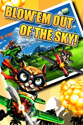 Crazy Cat Sky Gamble HD screenshot 2