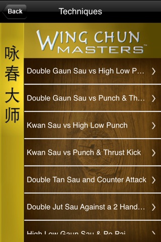 Wing Chun Masters 4 screenshot 3