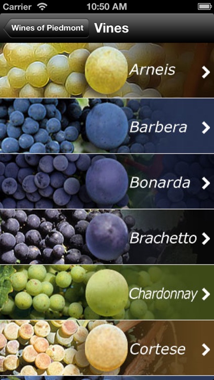 Italian Wine - Piedmont