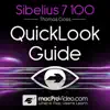 Course for Sibelius QuickLook Guide negative reviews, comments