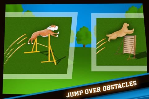 Dog Agility Obstacles Dressage Race Contest - Free Edition screenshot 3